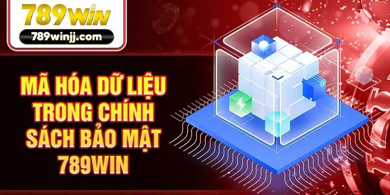 Mã hóa dữ liệu trong chính sách bảo mật 789win